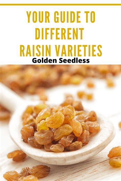 Your Guide To The Different Raisin Varieties Mom S Memo