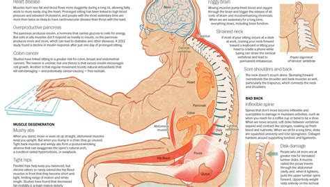 Are You Sitting Too Long Here S What It Does To Your Body And How To
