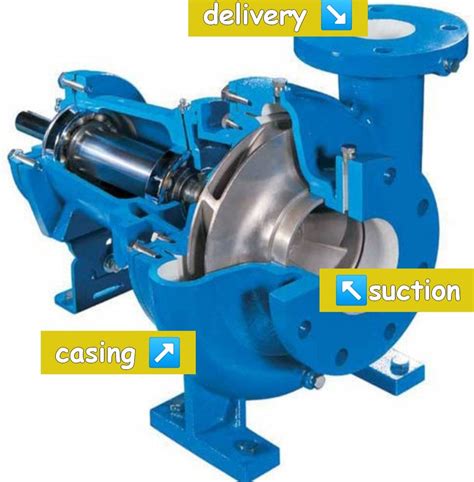 Types Of Pumps