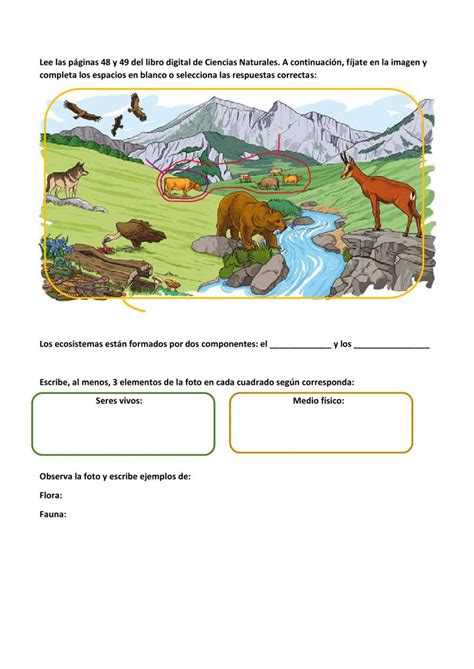 Ficha Online De Ecosistemas Para Tipos De Ecosistemas Ecosistemas Ciencias De La Naturaleza