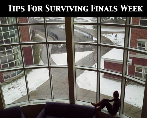 Today Choose Joy 7 Easy Tips To Surviving Finals Week