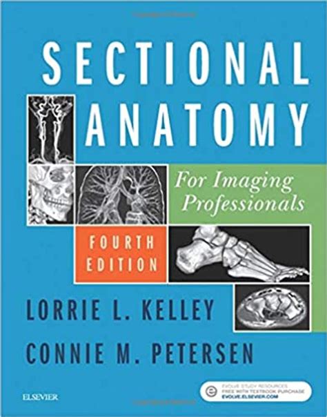 Sectional Anatomy For Imaging Professionals 4th Edition By Lorrie L