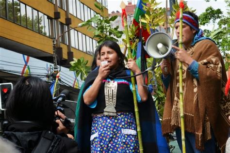 Comunidad Mapuche Autónoma Temucuicui Discurso De Marcha Por La Libre