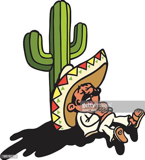 mexican sleeping sombrero stock fotos und bilder getty images