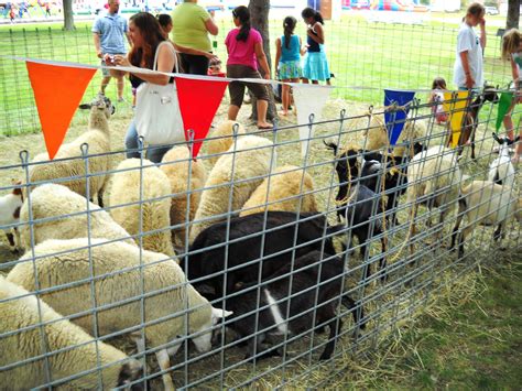 It is a controversial practice opposed by many animal rights advocates and has been banned in at least one. Fun Petting Zoo Chicago Party Rentals (With images) | Pony ...