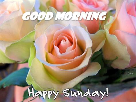 Good Morning Happy Sunday Pictures Photos And Images For Facebook
