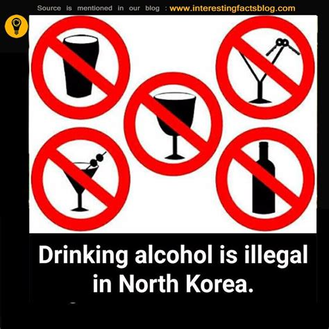 alcohol laws in north korea interesting facts Руны Карта Алкоголь