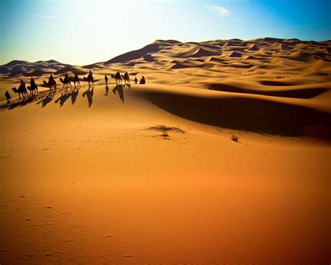 Western Sahara Natural Wonders Of Africa