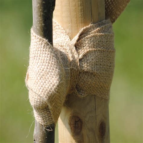 Holdfast Natural Tree Tie Tree Ties And Support Green Tech