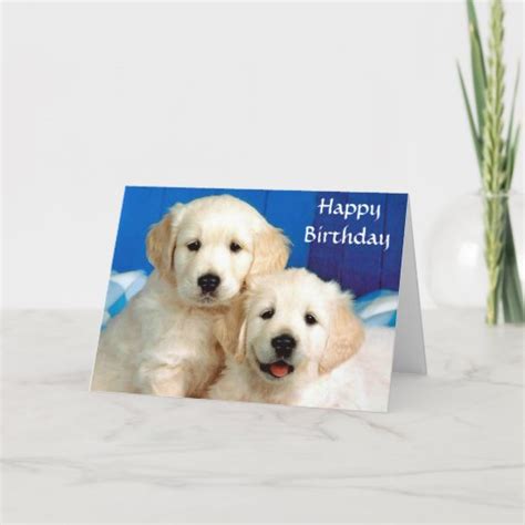 Happy Birthday Golden Retriever Puppies Card
