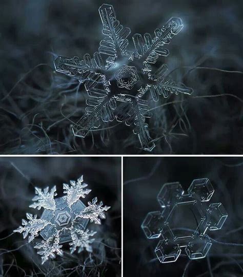Magnified Snowflakes Snow Crystal Snowflake Images Micro Photography