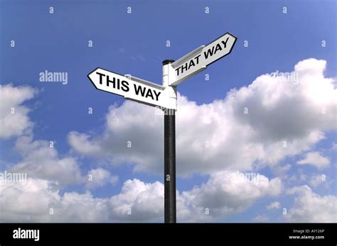Signpost Saying This Way That Way Which Way To Turn Good Concept Image