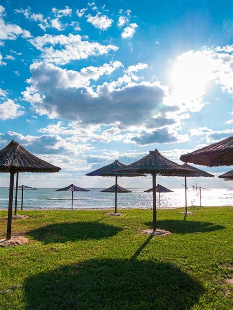 Straw Umbrellas On Green Grass Harsh Shadow Sand Beach Vivid Blue Sea