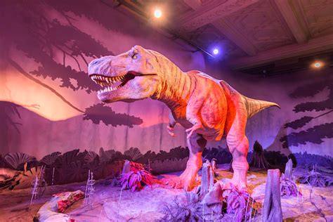 New World Class Dinosaur Gallery Coming To Natural History Museum