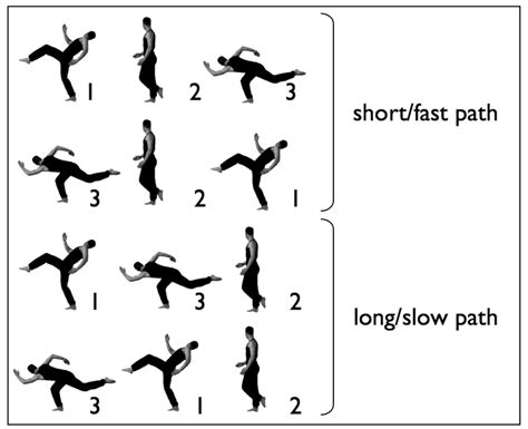 Examples Of Short Pathslow Movements And Long Pathfast Movements