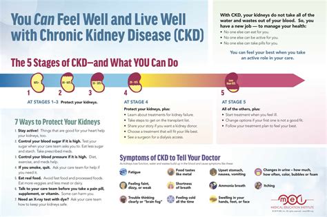 Chronic Kidney Disease Stages Your Kidneys Filter Wastes And Excess