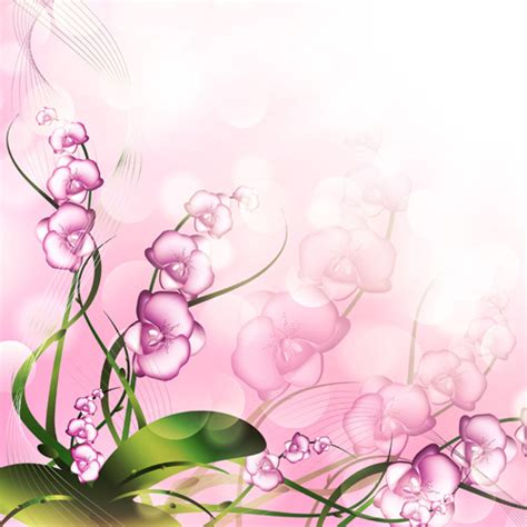 Beautiful Pink Flowers Vector Background Set Vectors Graphic Art