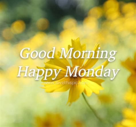 Yellow Flower Petals Good Morning Happy Monday Pictures Photos And