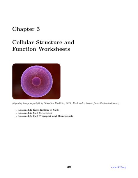 Chapter 3 Ck 12 Biology Chapter 3 Worksheets