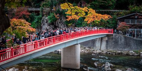 Autumn Leaves In Korankei｜ Experience Nagoyacentral Japan ｜meitetsu