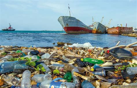 أسباب تلوث البحار ونتائج تلوث البحر مدونة صدى الامة
