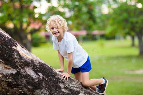 Kids Climb Tree In Summer Park Child Climbing Stock Image Image Of