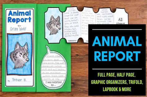 Animal Reports 3rd Grade K7off