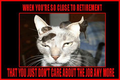In that sense, here are some retirement memes that will help you to express how happy you are over this and just spread the word. Retirement humor | Retirement jokes for your farewell