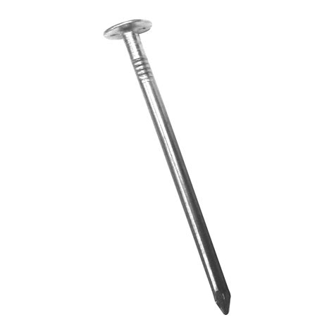 2-1/2" Electro Galvanized Roofing Nail-25 lb | Nails, Screws & Fasteners