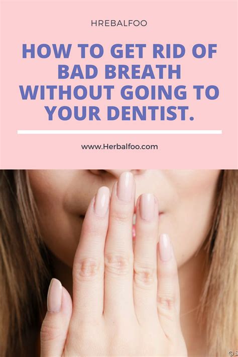 how to get rid of bad breath without going to your dentist bad breath fight bad breath dentist