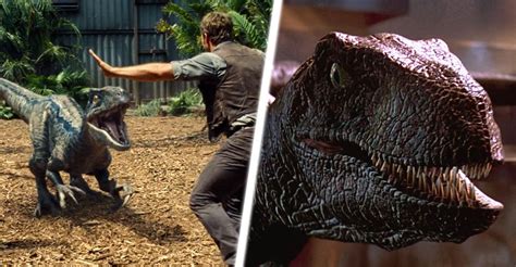 Jurassic Parkworld The 10 Best Scenes Featuring Velociraptors Ranked Paleontology World