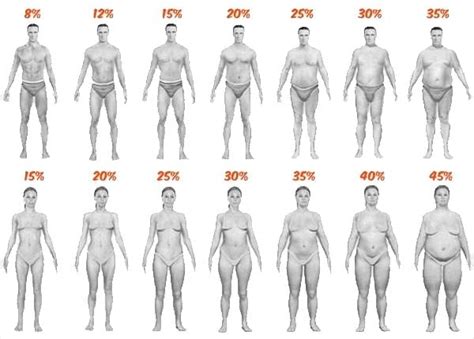 The Complete Guide To Body Fat Percentage Charts
