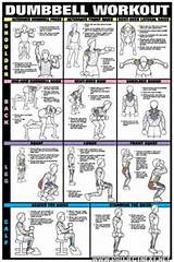 Photos of Back Muscle Exercises Using Dumbbells