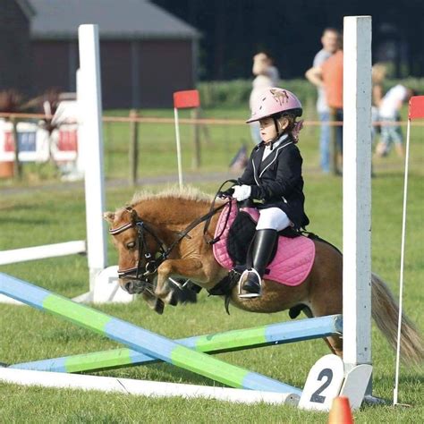 Mini Horse Giving His All For His Child Over A Jump Just Precious