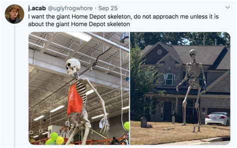 12 Foot Tall Home Depot Skeleton Vision Viral