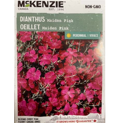 Mckenzie Seeds Dianthus Maiden Pink Pkg Scotts Nursery Ltd