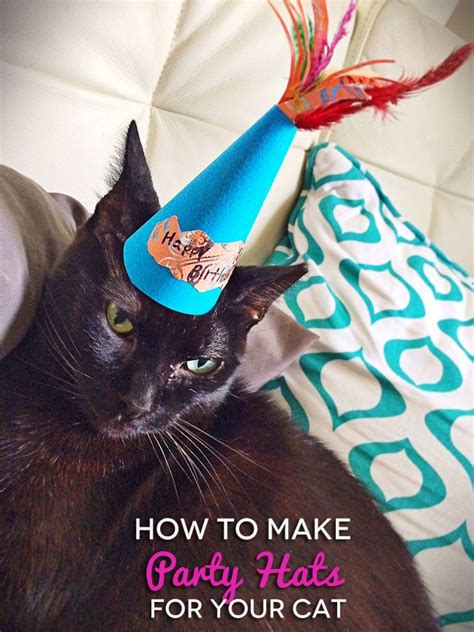 How To Make Party Hats For Your Cat In Sonnets Kitchen Party Hats