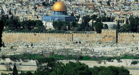 The Mount Of Olives Israel My Glory