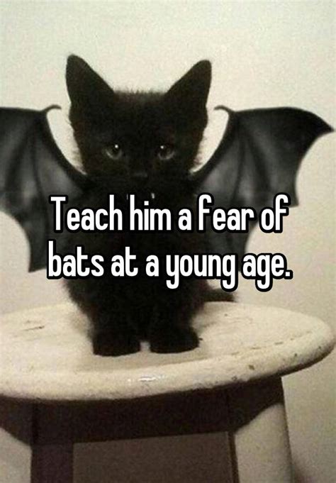 Teach Him A Fear Of Bats At A Young Age