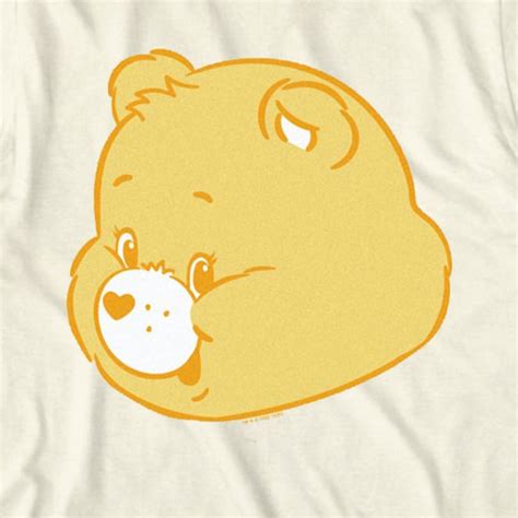 Funshine Bears Face Care Bears T Shirt