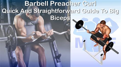 Barbell Preacher Curl Quick And Straightforward Guide To Big Biceps