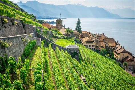 Scenic Panorama Of Lavaux With The Saint Saphorin Village Green