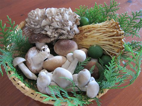 Forage Your Way Into Mushroom Season The Japan Times