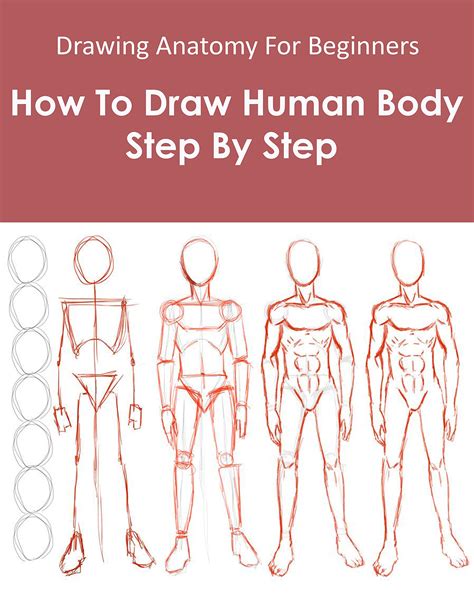 Drawing Anatomy For Beginners How To Draw Human Body Step By Step