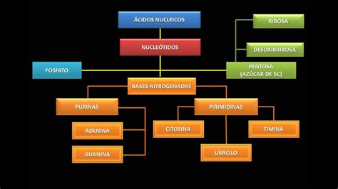 Mapa Conceptual Ejemplo Reacciones Quimicas Disoluciones Soluciones