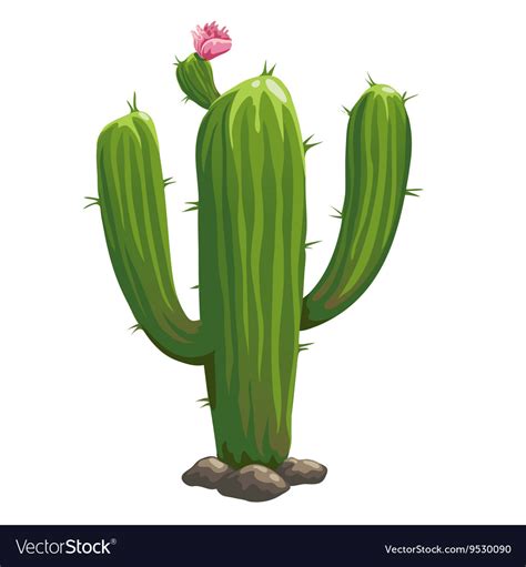 Classic Green Cactus Closeup In Cartoon Style Vector Image
