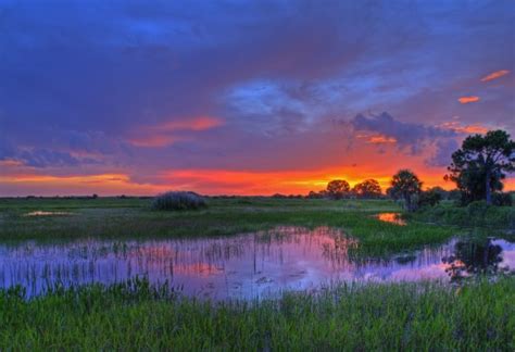 Sunset Over Everglades National Park Florida Photorator