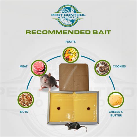 Rat Glue Trap Board Sticky Mouse Glue Trap Pest Control Worldwide