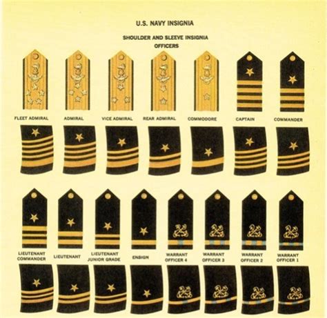 Us Navy Officer Rank Insignia