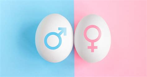 How Is Gender Selection Possible In Ivf And What You Need To Know